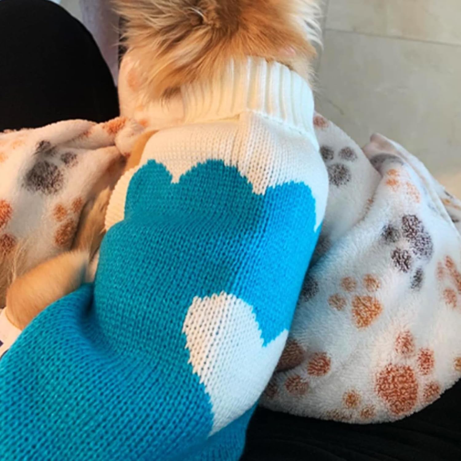 Dog Sweaters Classic Knitwear, Turtleneck Winter Warm Pet Puppy Clothes | Cute Heart Pattern, Lightweight & Warm Knitted Winter Sweater, Cold Weather Coat, Great for Daily Wear, Easy on & Off